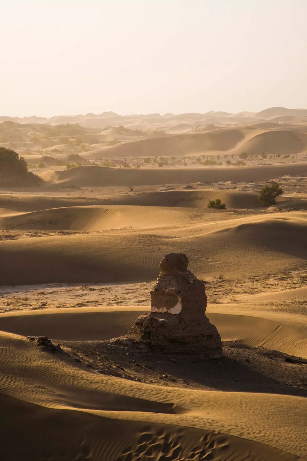 额济纳戈壁滩记录,额济纳戈壁滩沙漠