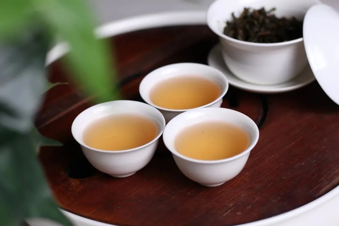 潮州凤凰前生今世,潮州凤凰茶制作过程