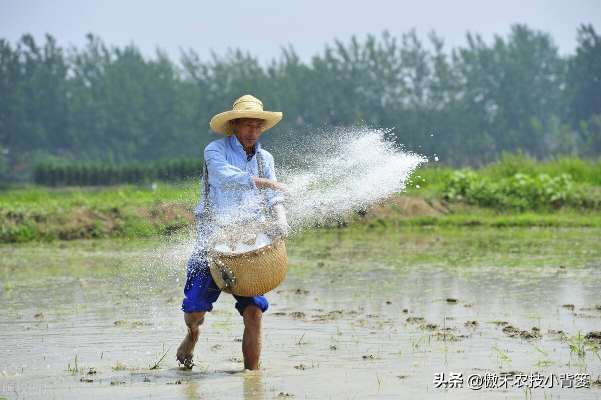含氯化肥使用注意事项,长期使用中氯化肥对作物有危害吗