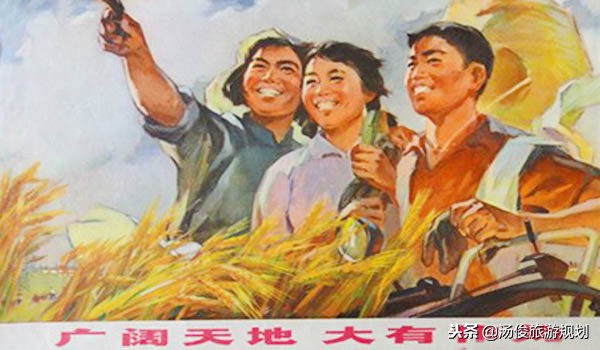 农村土地无人耕种视频,土地无人耕种怎么处理