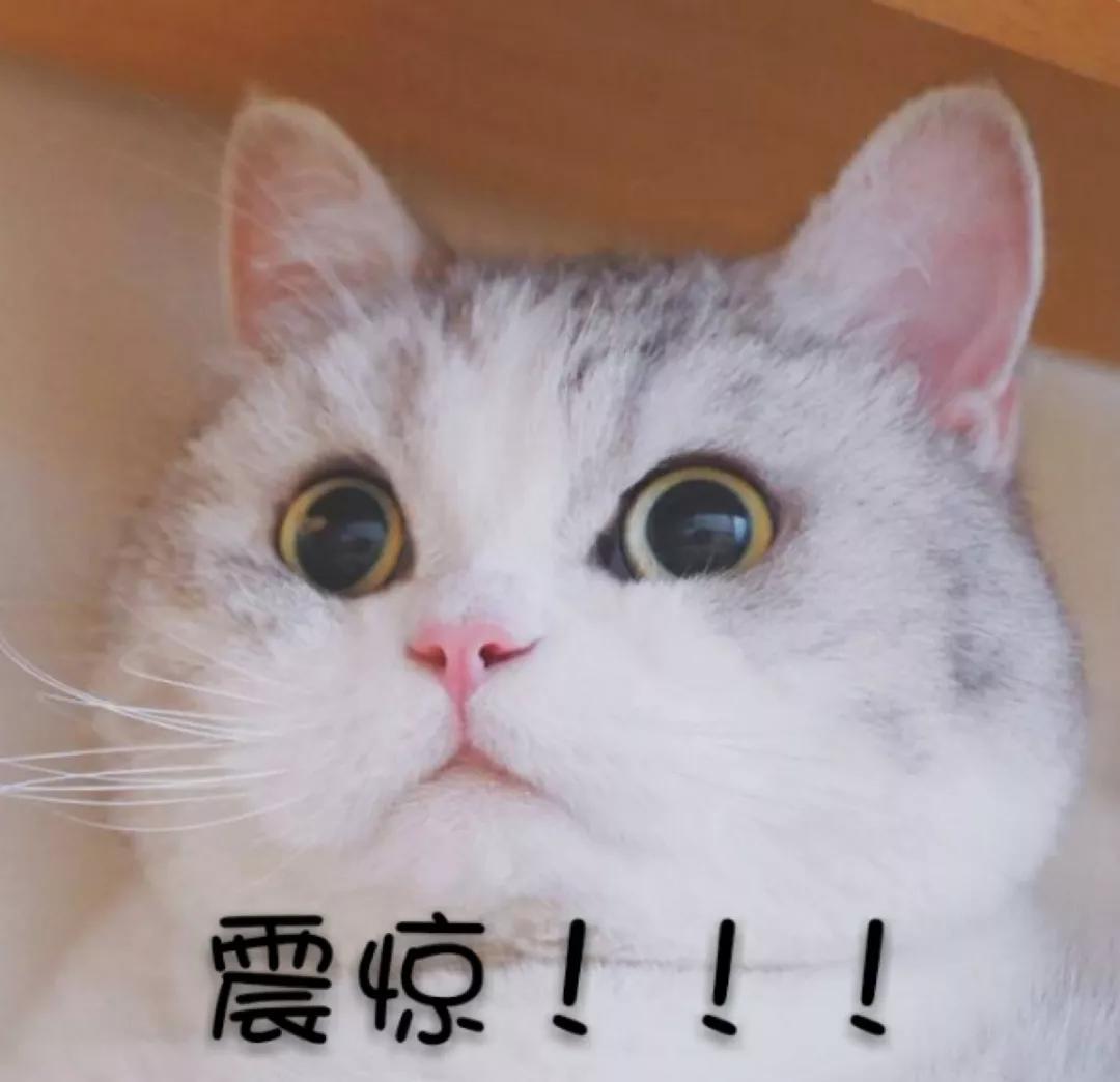 膏方养生,冬日进补的膏方