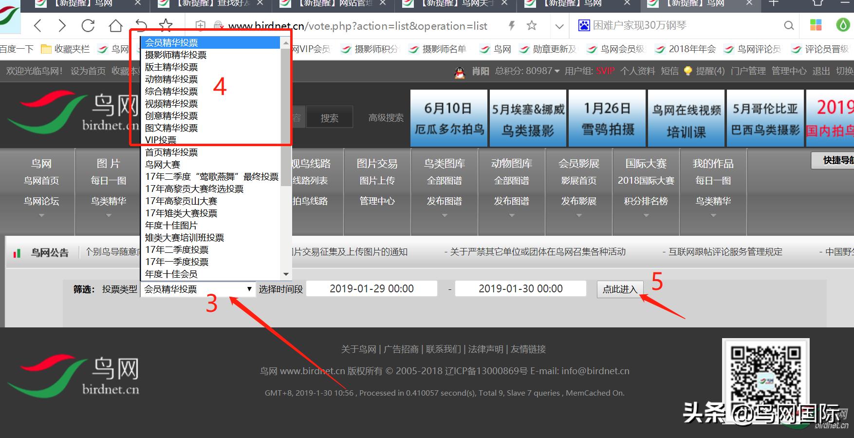 鸟网关于对首页精华图片入选进行投票的通知
