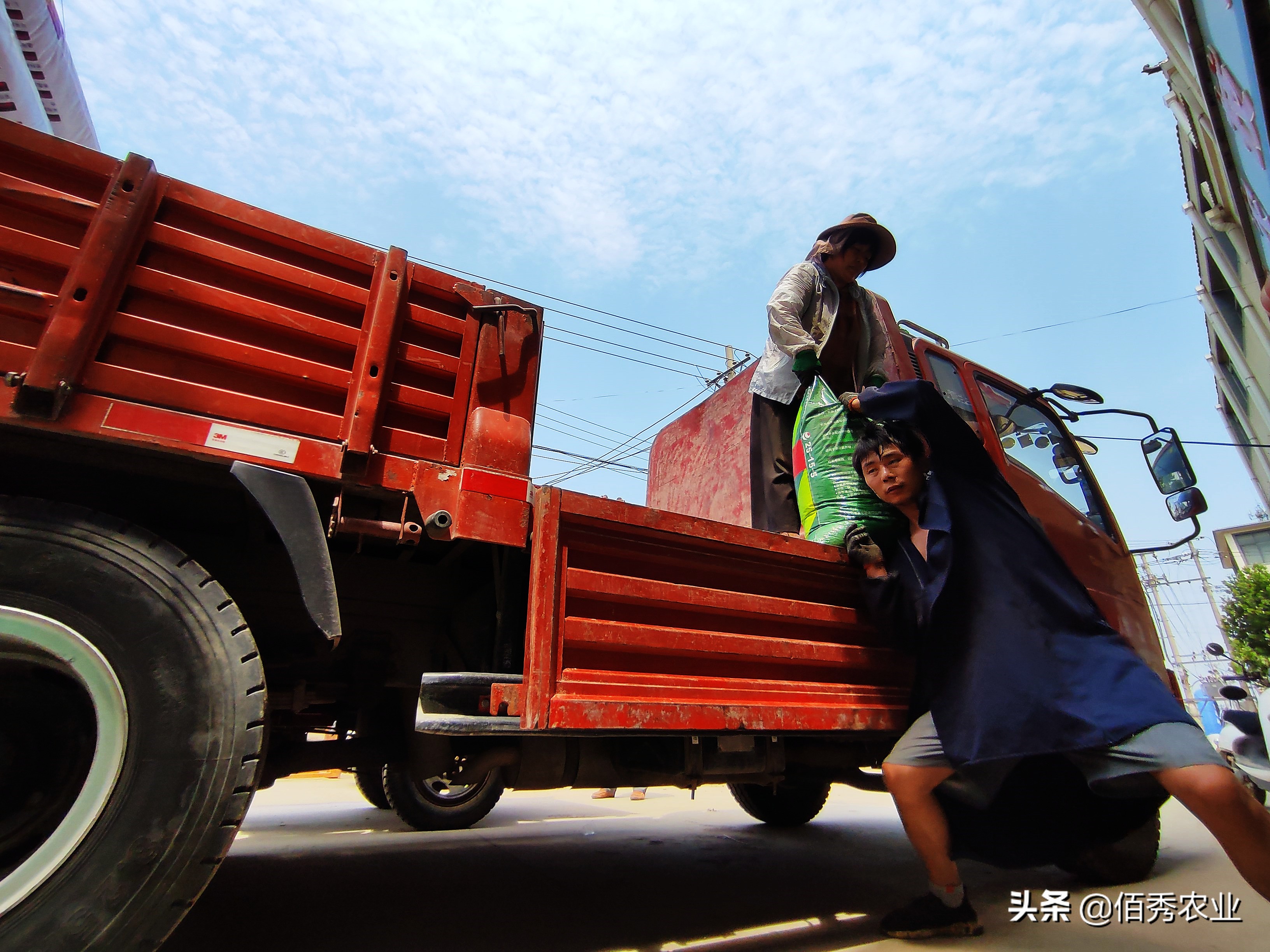 种玉米施哪种肥料不影响种子,农民种麦子玉米每亩挣多少钱