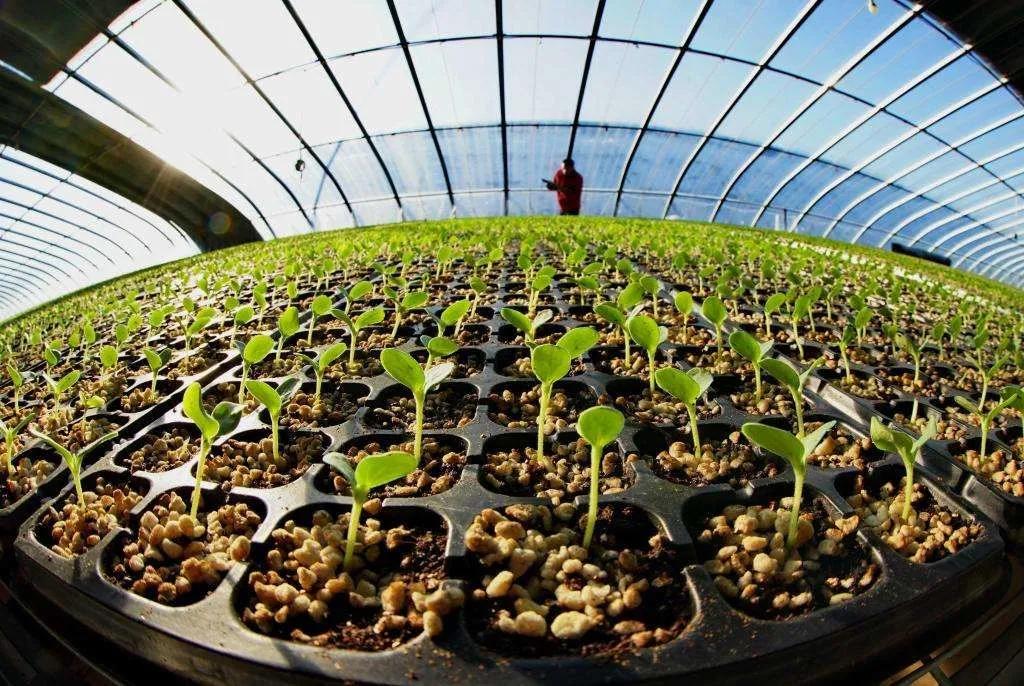 鹤发童颜养生操,童颜鹤发美容方法