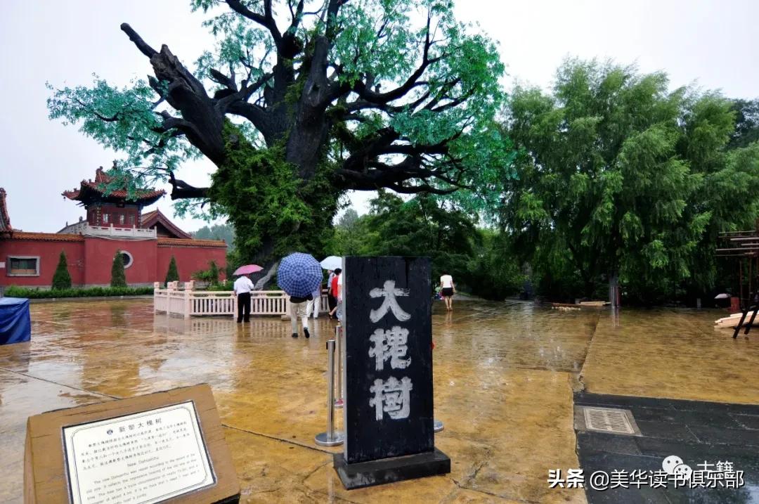 山西洪洞大槐树移民故事真实吗,山西洪洞大槐树历史事件视频