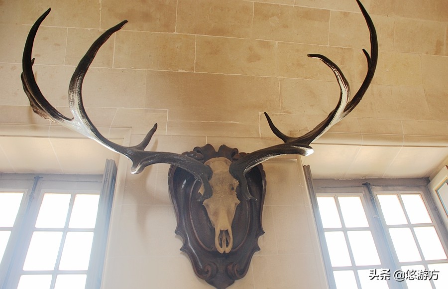 舍维尼城堡：追随丁丁探险的脚步