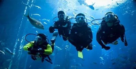 悦动青少年训练营,悦动篮球冬令营