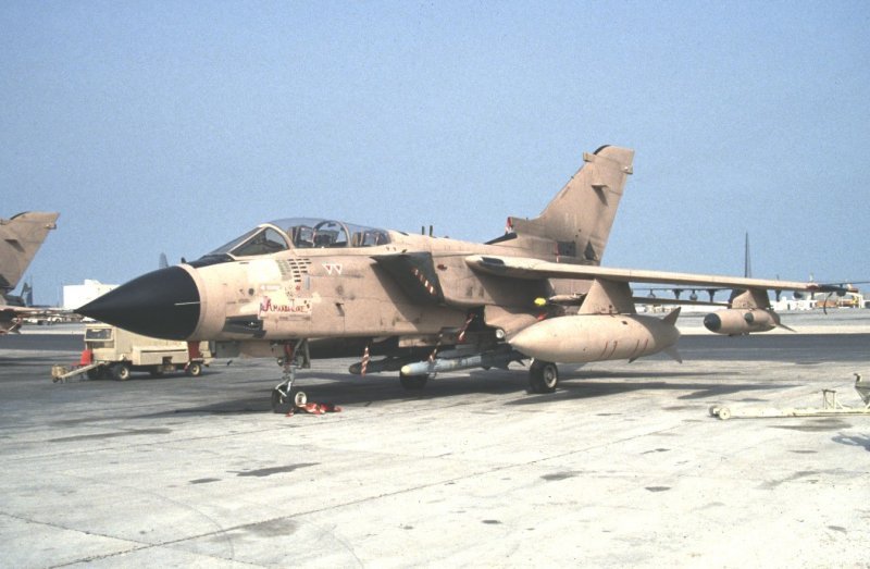 记忆中的战斗机,记忆中的战斗机飞行员