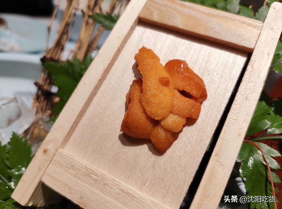 日本海鲜刺身怎么吃,各种各样的大海鲜刺身