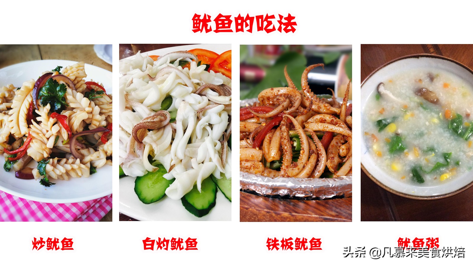 海兔八爪鱼墨鱼鱿鱼的区别,鱿鱼海兔八爪鱼三者之间区别