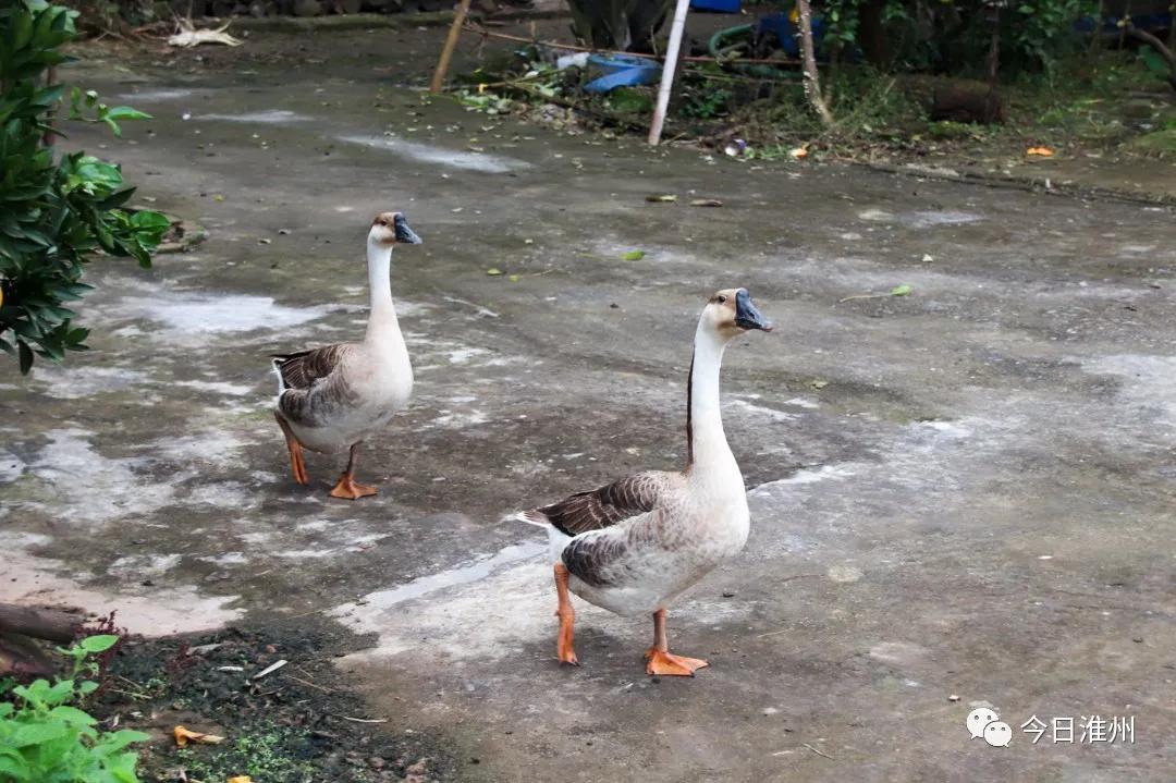 淮口景区,淮口附近旅游景区推荐一下