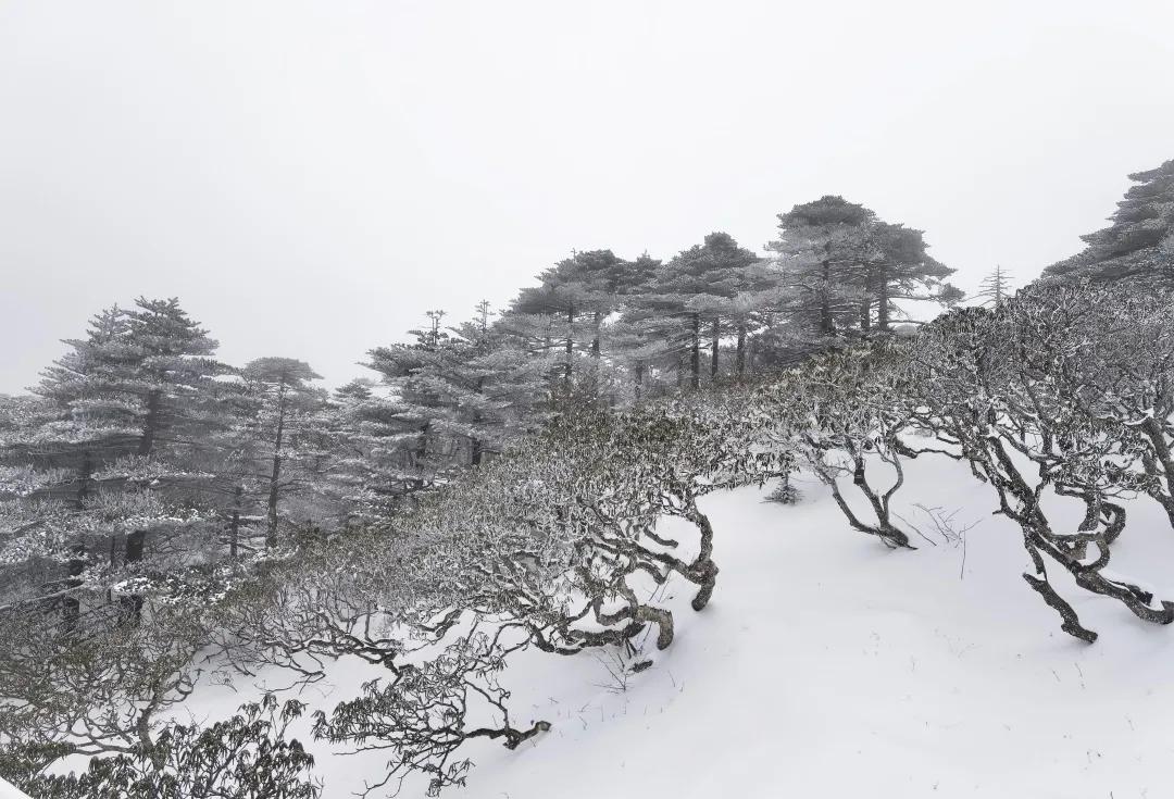 2023平遥国际摄影节获奖摄影作品,2009大理摄影展获奖作品