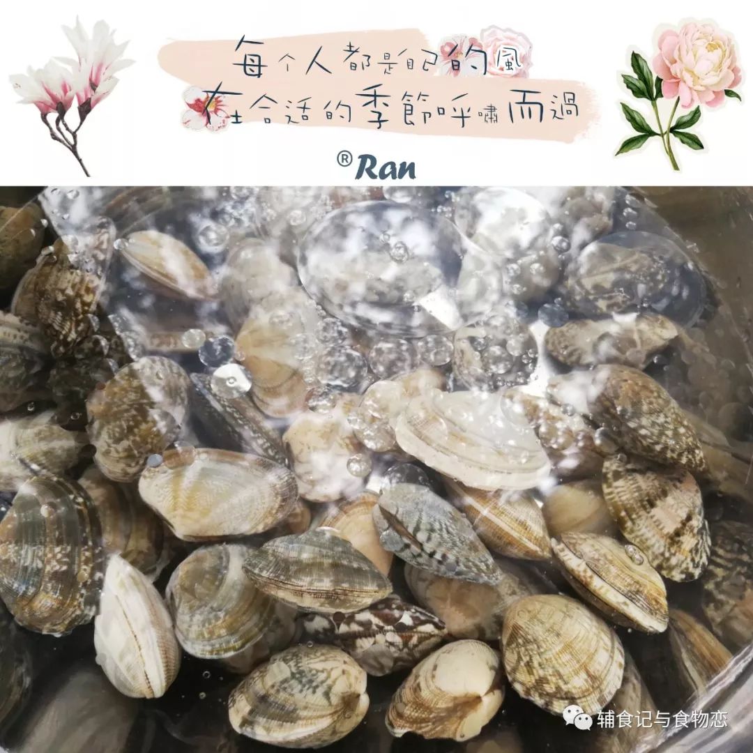 【食物恋】辣炒花蛤——手把手教你处理贝类，再也不会吃到沙子了