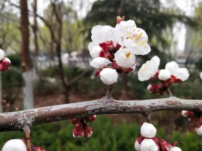 宋词经典赏析100首,绝美的十五首宋词欣赏