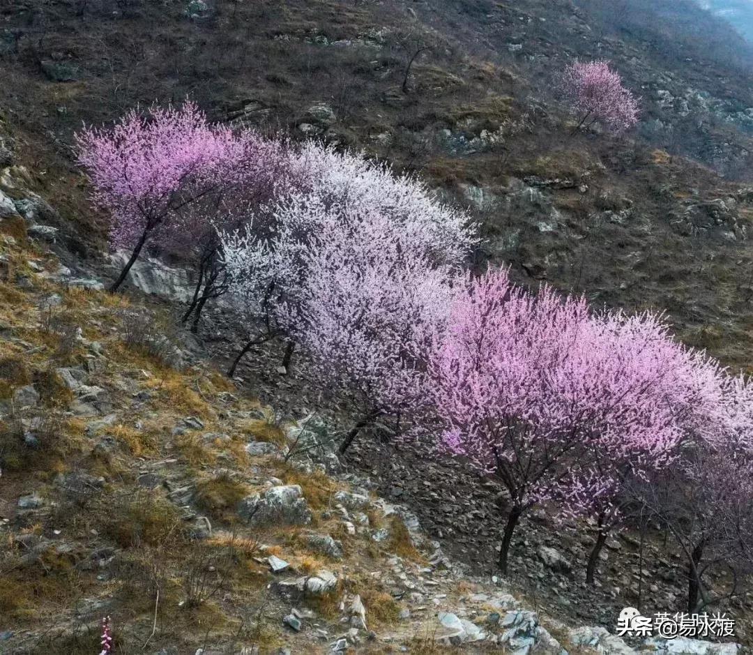 易县好看的视频,易县哪儿的好看