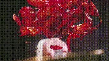 拍出色香味！跟屁虫影视教您拍出诱人美食餐饮视频