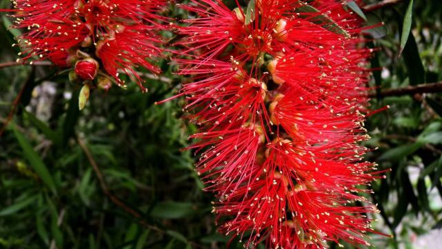 怎么安抚生气的金牛,怎样哄十二星座生气的人