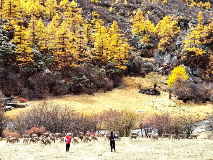 稻城亚丁旅游攻略书籍,稻城亚丁最新游玩攻略