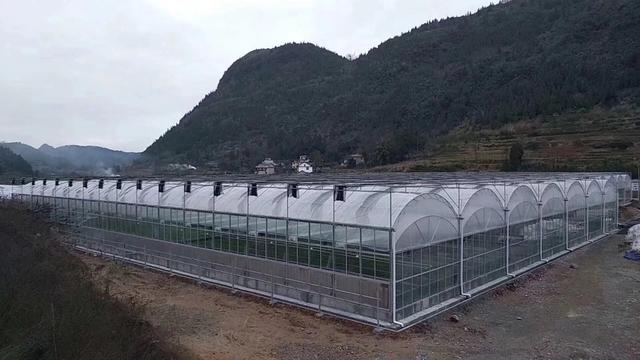 连栋温室大棚建造成本多少钱一平,2021一亩连栋温室大棚造价明细