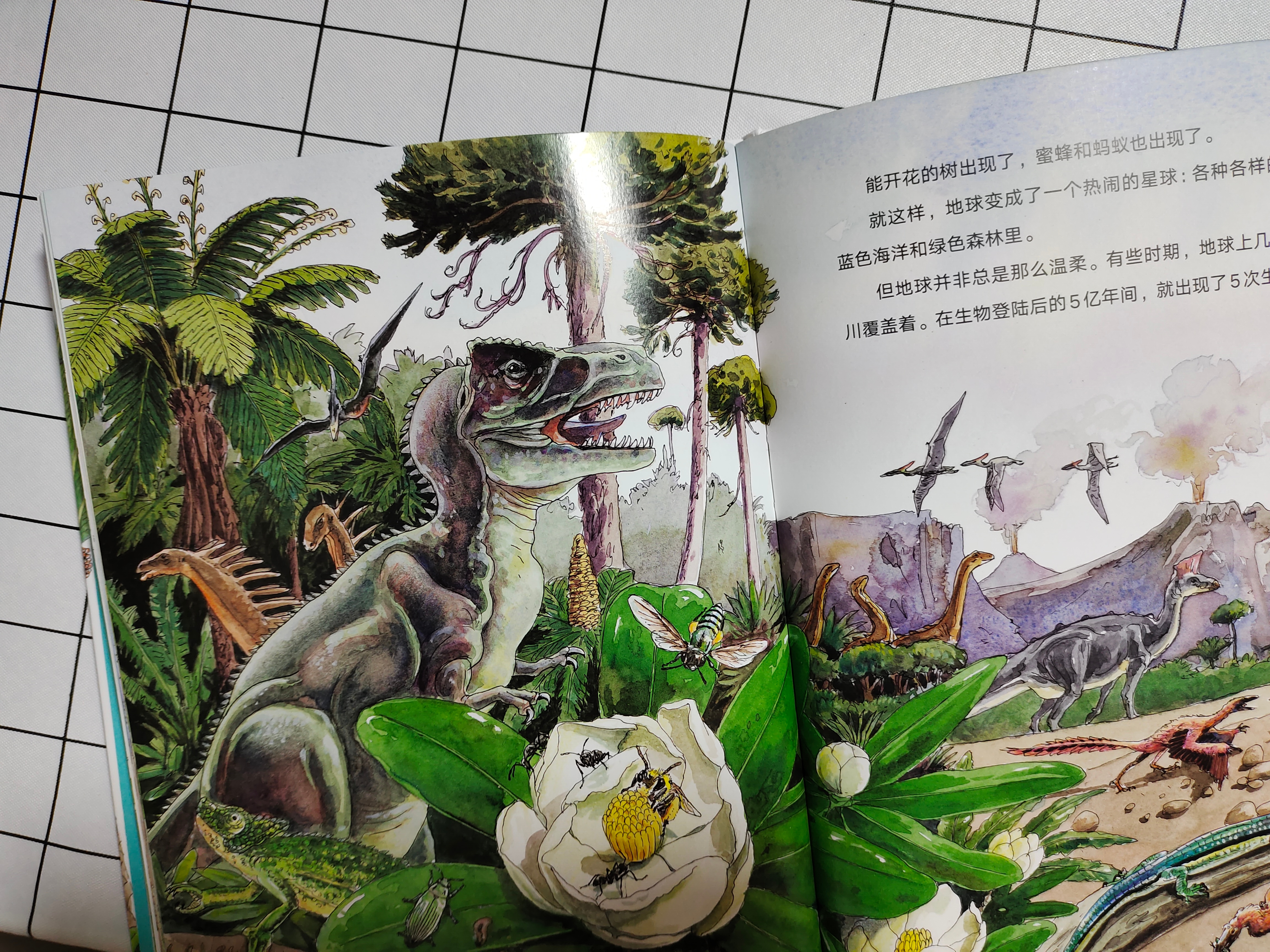 世界上知识点最全的恐龙百科全书,恐龙百科全书恐龙世界的无穷奥秘