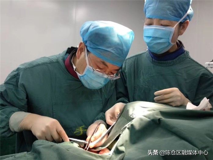 医者仁心大爱无疆原版,对医者大爱医者仁心的深刻理解