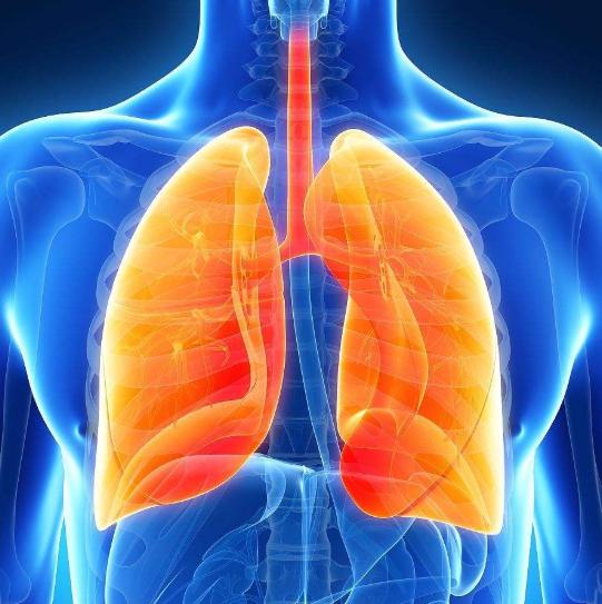 养肺养命的三大建议,养肺就是养命秋天要这样做