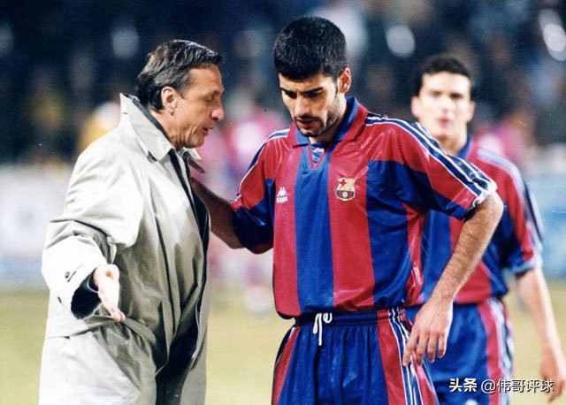 荷兰郁金香克鲁伊夫,克鲁伊夫郁金香