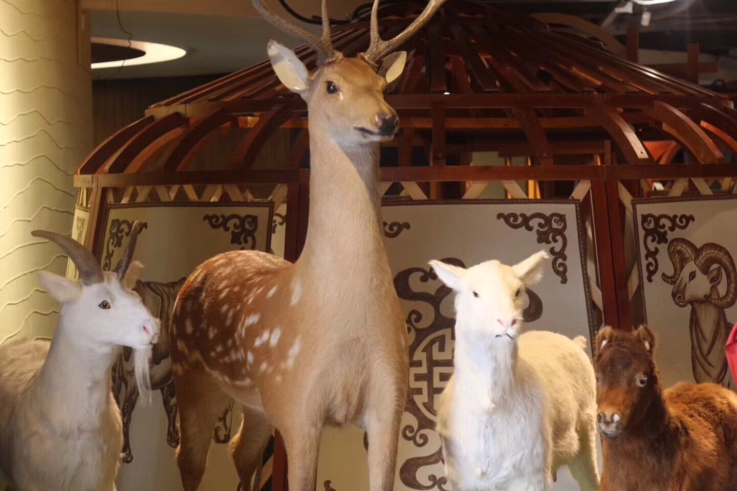 味觉盛宴第二届菜品交流圆满成功,蒙古晚餐品尝特色风味烤全羊