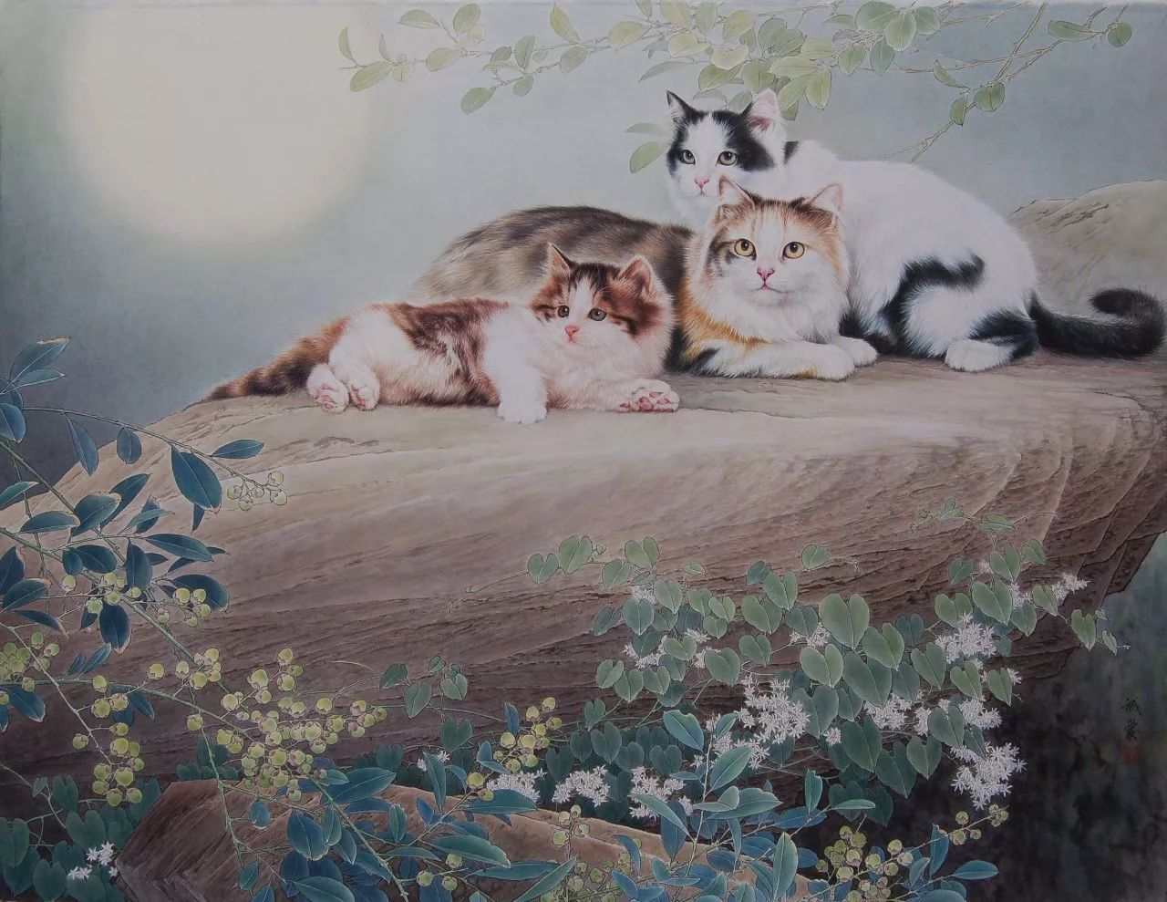 邢诚爱工笔画猫的图片,邢诚爱工笔画猫兔子高清大图