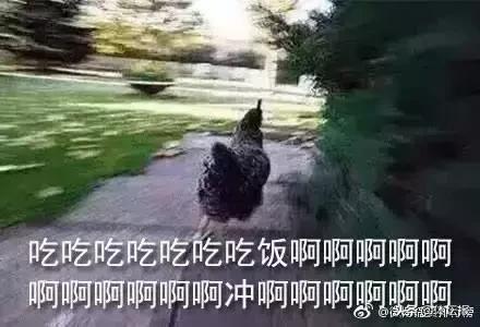 杭马半马和全马奖牌一样吗,杭马2023半马奖牌