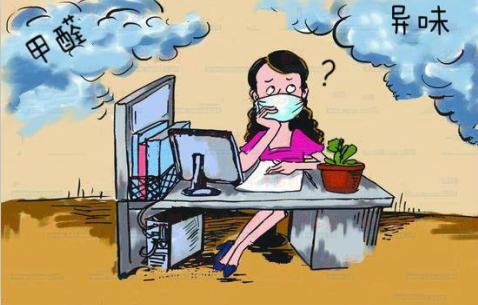 装修的新房如何快速去除味道,新房装修好柜子有味道怎么解决