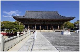 坐游轮去日本自由行攻略,日本自由行视频攻略