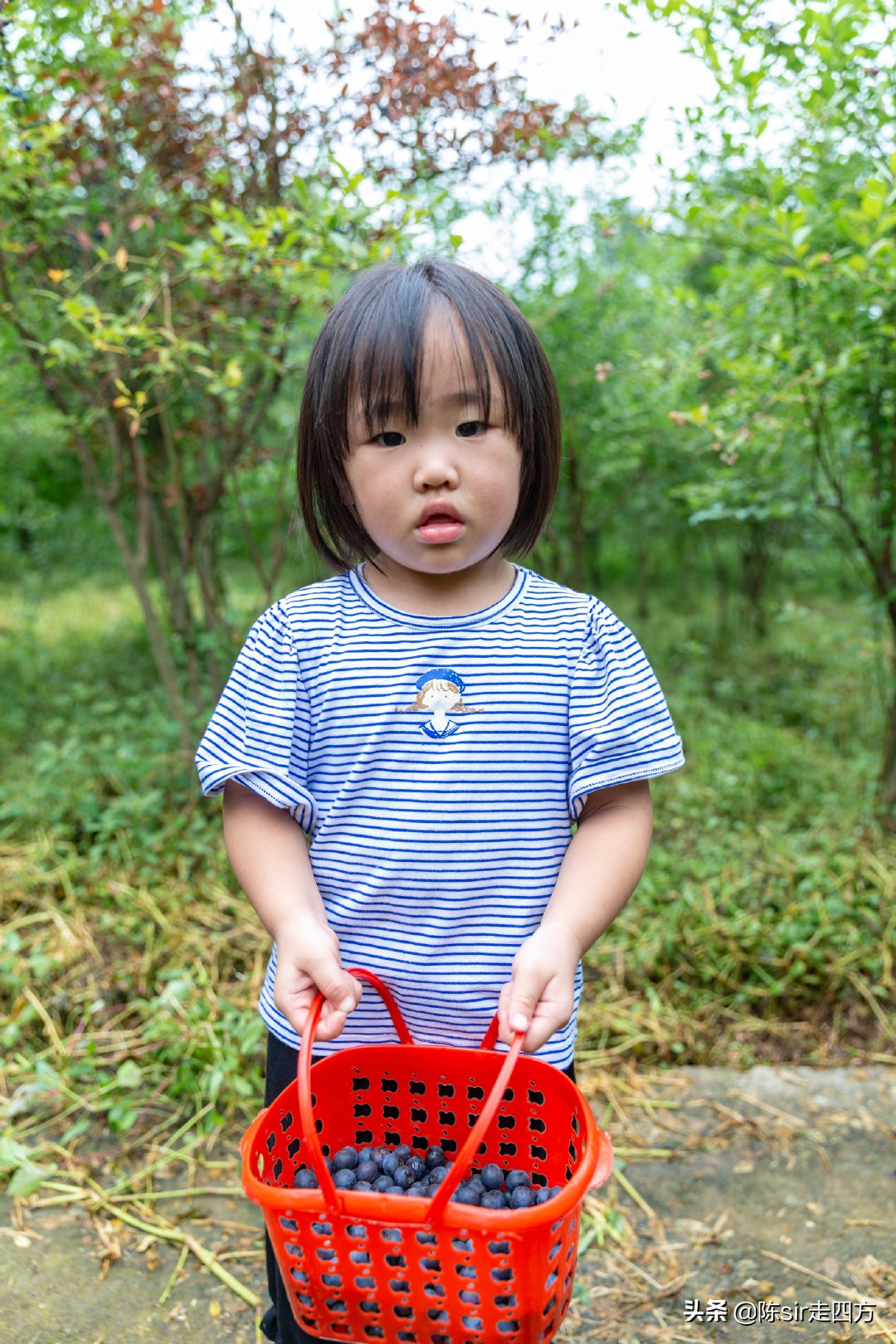 重庆夏天最好的避暑胜地有哪些,重庆周边可以钓鱼避暑的农家乐