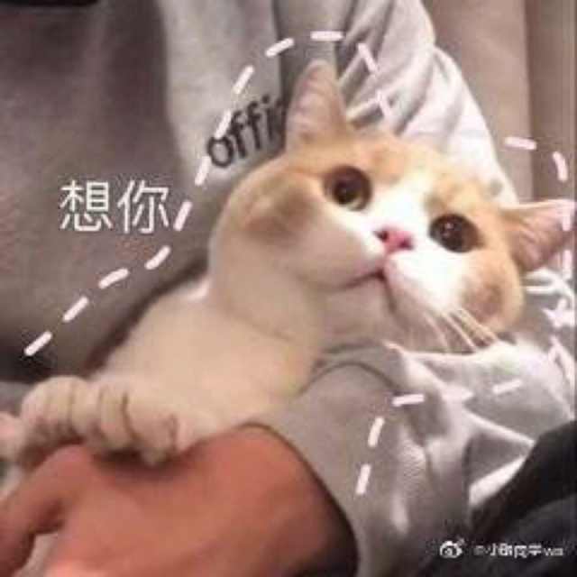 表情包我能怎么办,那我怎么办表情包可爱