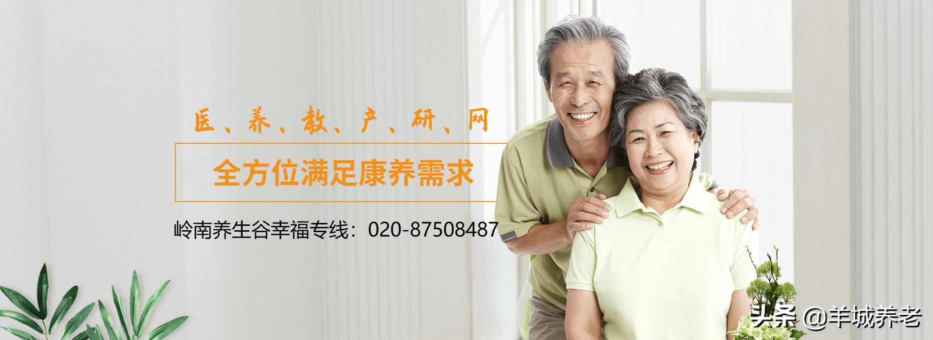 广州市天河区岭南养生谷养老院,广州颐寿养老院一览表