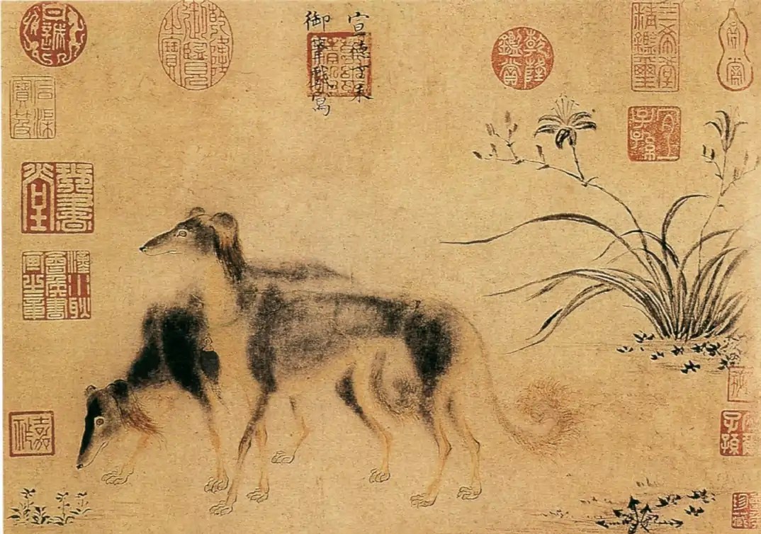 中国比较凶猛的犬,中国被公认的最凶猛的犬