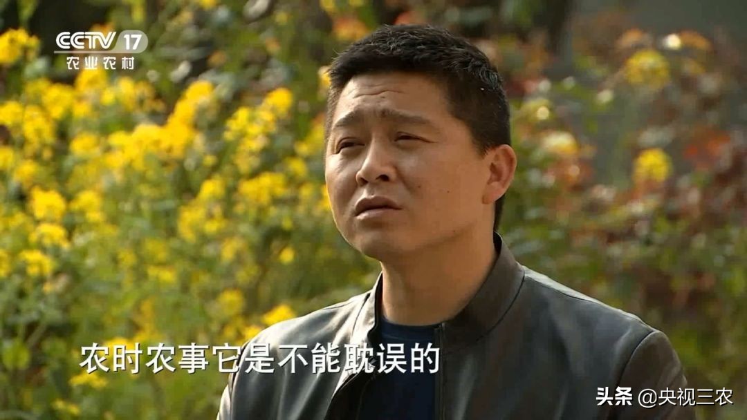 90后的湖北村支书,湖北最硬核村支书