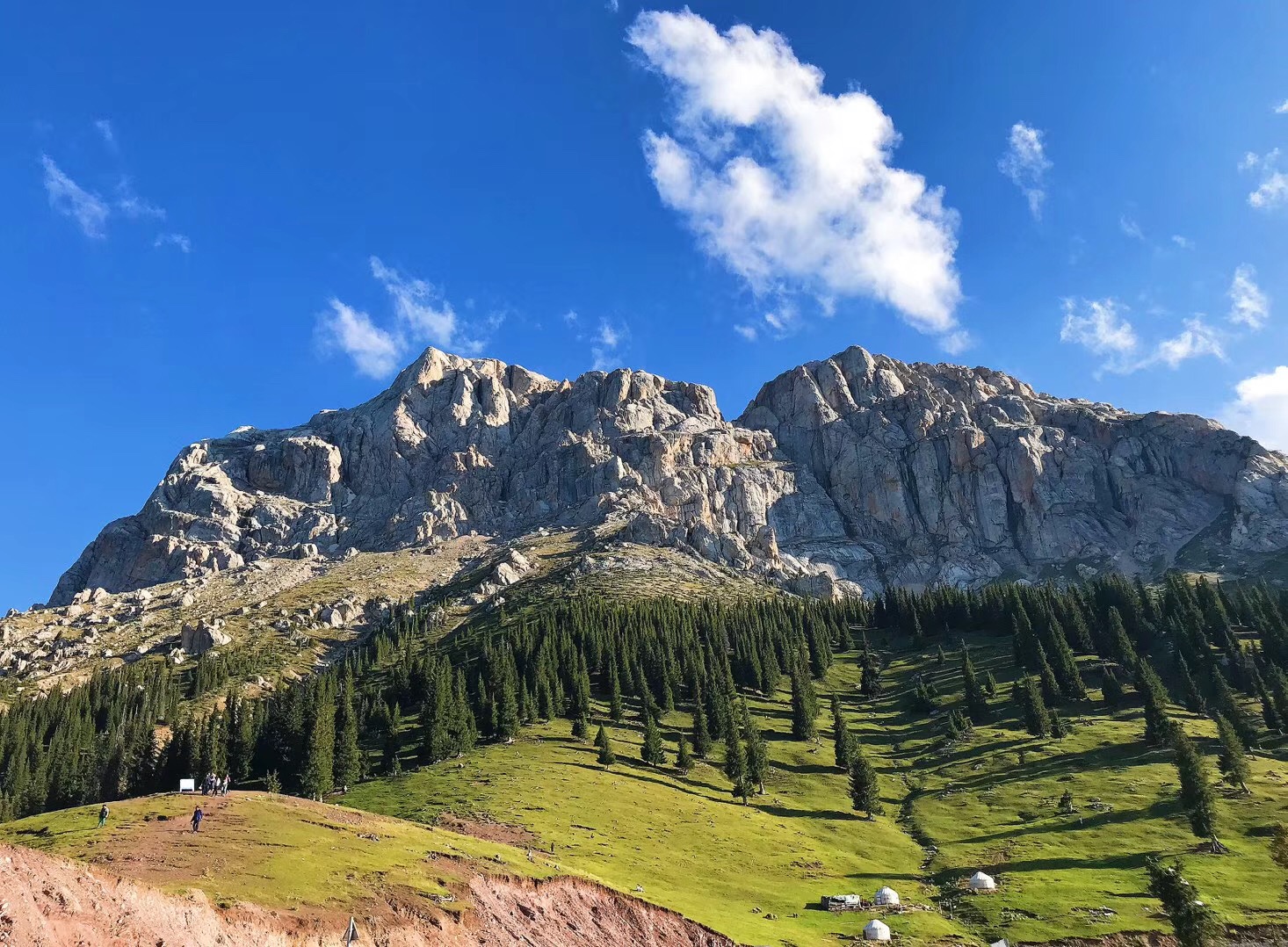 从哈密自驾进疆15天怎么走合理,自驾318哪里容易超速被罚款