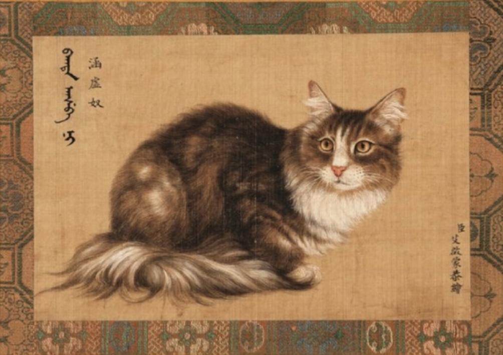 古代猫名字,古代猫的名字