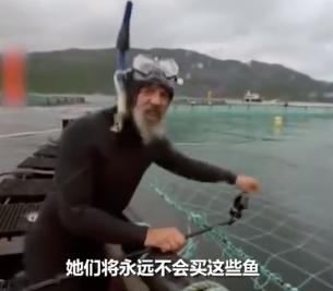 外媒曝光了挪威三文鱼养殖真相吗,最毒的深海三文鱼