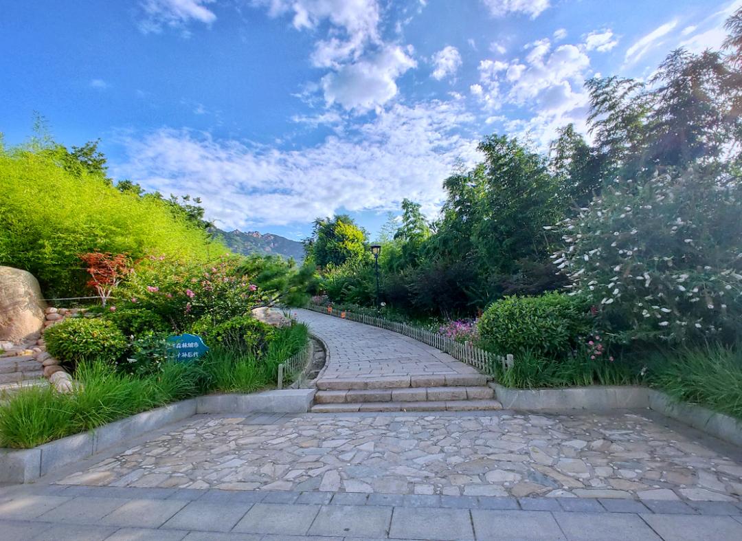 初秋的青岛有多美,初秋的青岛