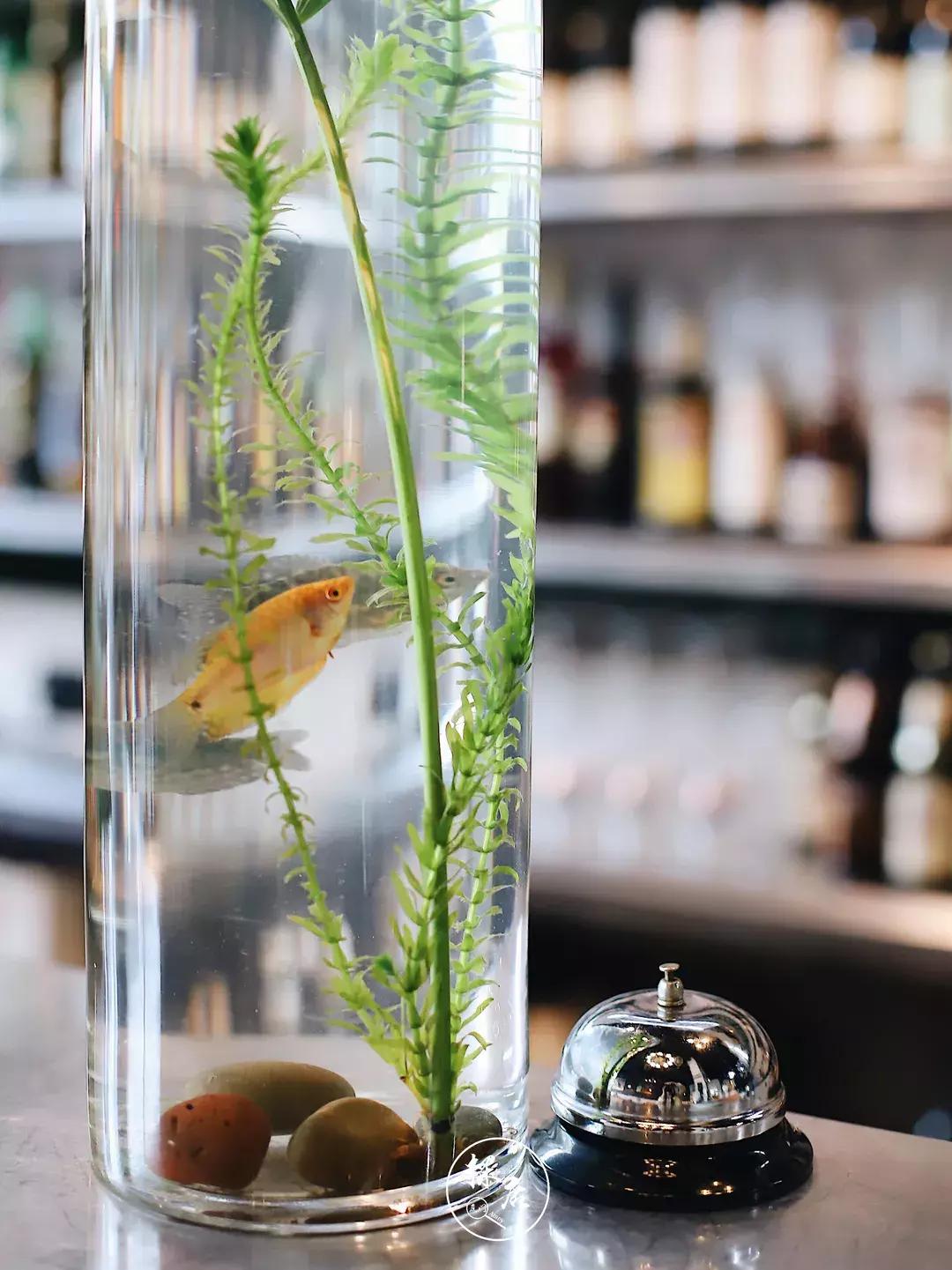 厦门西餐惠灵顿牛排,惠灵顿牛排厦门顶级