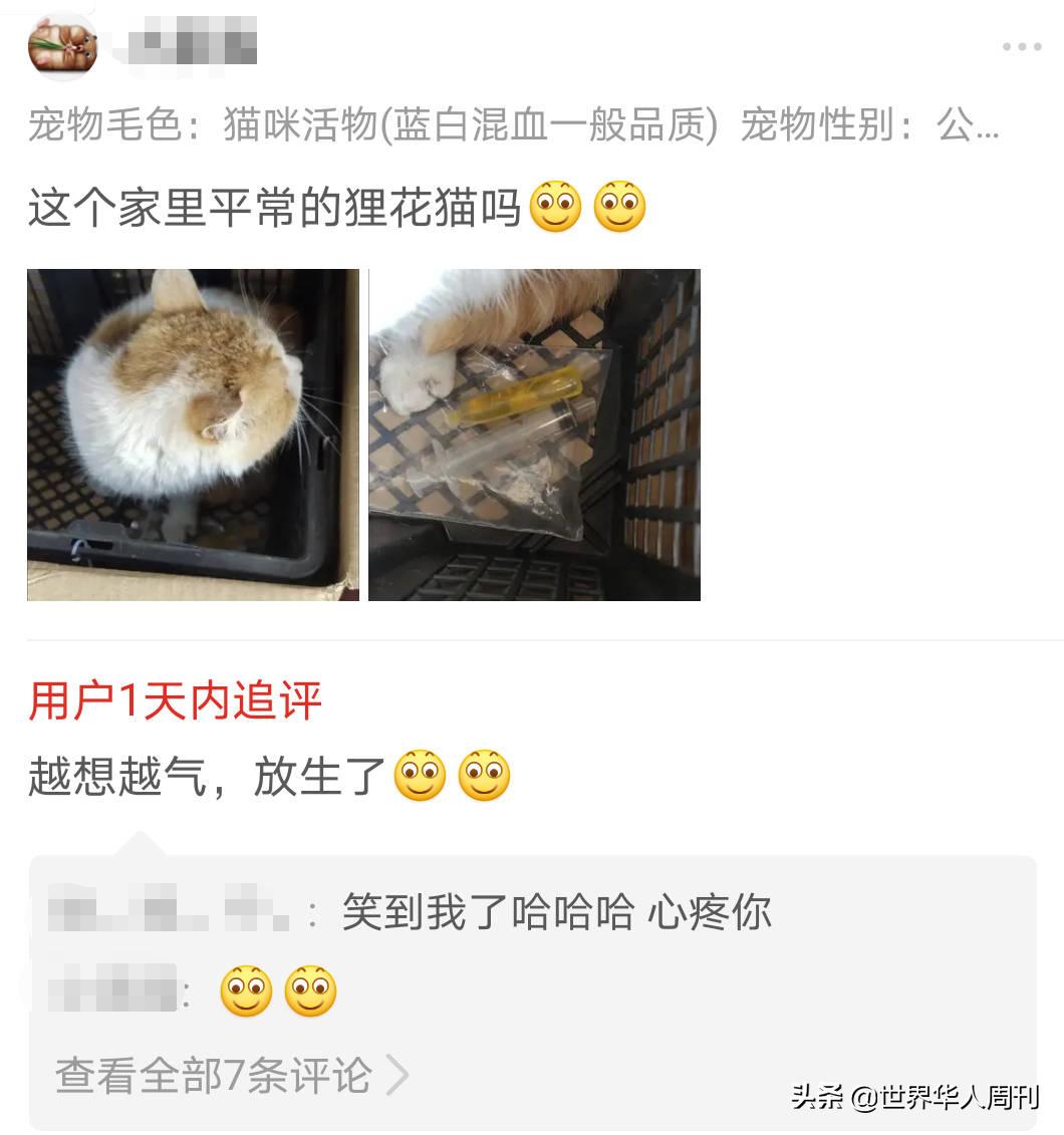 宠物生命当“惊喜”：鲜血淋漓的活体盲盒，成了当代年轻人的新宠