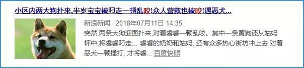 女子遛狗不牵绳！男子遭狗撕咬*体下**受伤，狗主人四天不露面