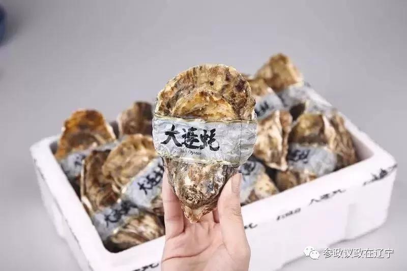 生蚝小镇：醇鲜大连味留香唇齿间