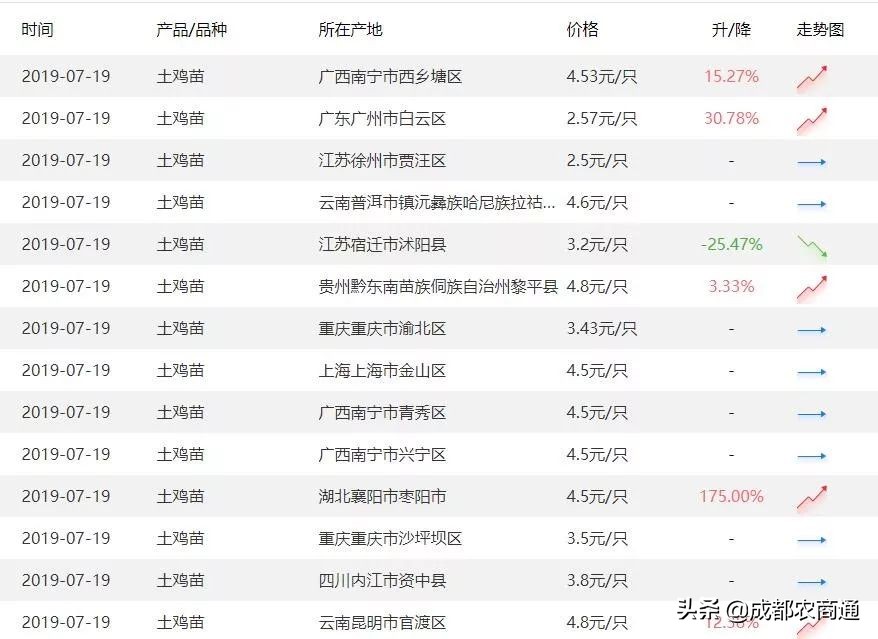 一只鸡一年能挣多少钱,一只鸡一年下蛋能赚多少钱