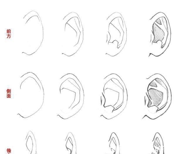 动漫人物头部怎么画简单,动漫头部各个角度画法