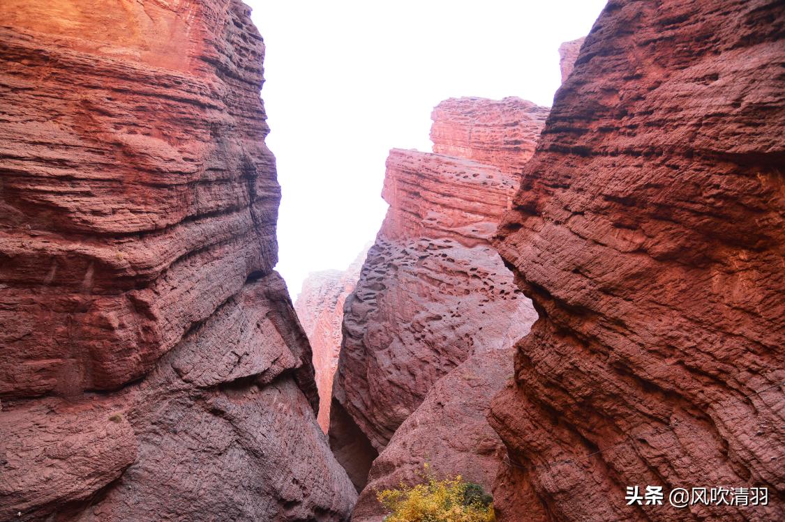 真实新疆人的生活视频,新疆人的生活好精致