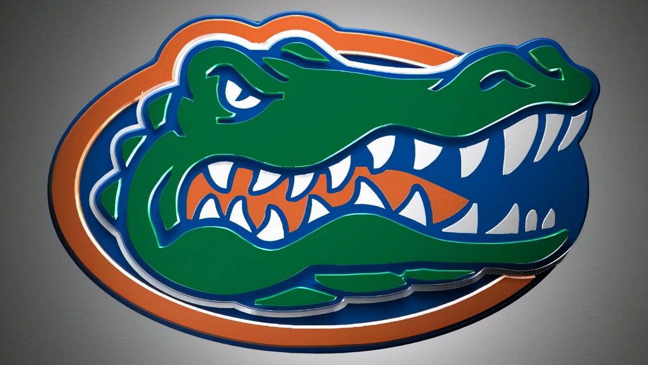 佛罗里达大学和佛罗里达州立大学,就读佛罗里达州立大学是什么体验