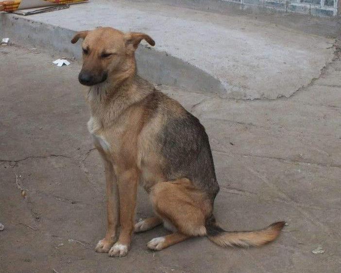 五喜指哪五喜,五喜分别是什么意思